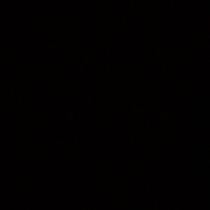 Meet your Posher, Alexandre